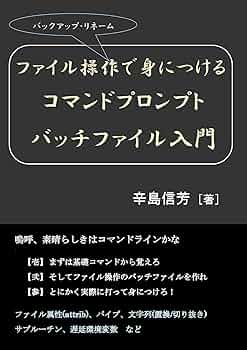 入門 MS-DOSバッチファイル パソコンを効率的に使いこなす簡易プログラム言語 入門MS-DOSバッチファイル: パソコンを効率的に使いこなす簡易